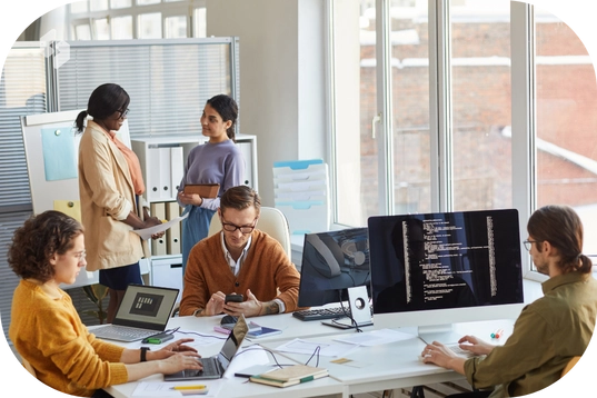 software development services in usa